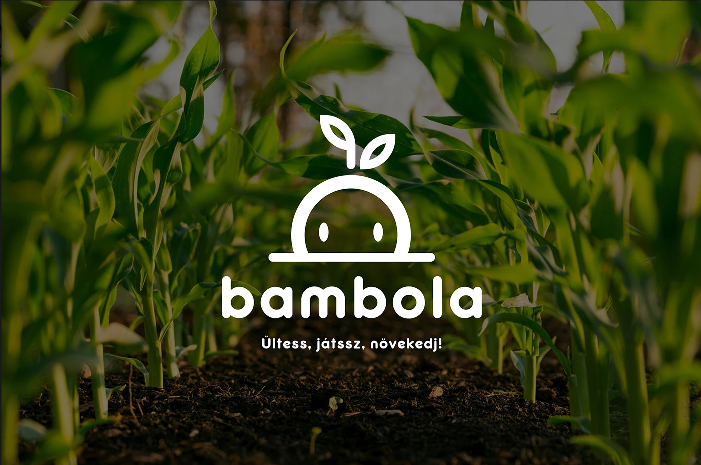 Bambola – My First Gardening Kit / Az Első Kertem